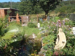 I freely admit I spend countless hours staring into the pond ''thinking''...there are Newts !!