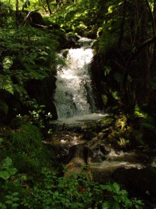 The rivers in the Rhondda ran black for decades.Now you can drink the sparkling icy water.