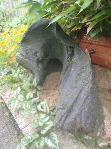 Reclining Harbinger,80cm L