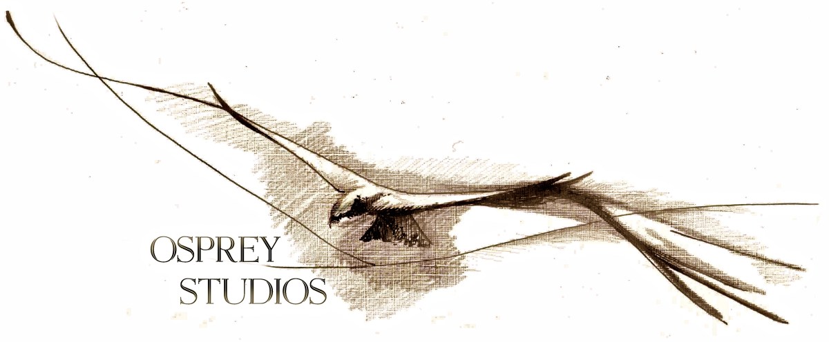 Osprey Studios 2013