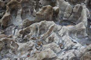 10003791_10203331962960554_1179723863_o