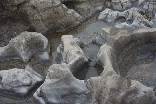 10010298_10203331966960654_2005679223_o