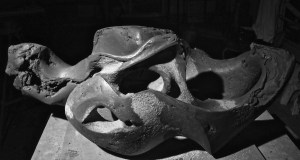 Up Is Down- in progress