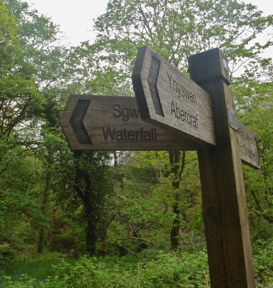 Osprey Studios , Ynyswen, is surrounded by enchanting walks and an extraordinary variety of landscapes.