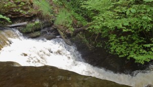 There was a factory at this spot that used the falls for power.