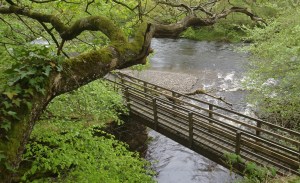 for generations people walked to the Mines and Farms for work.