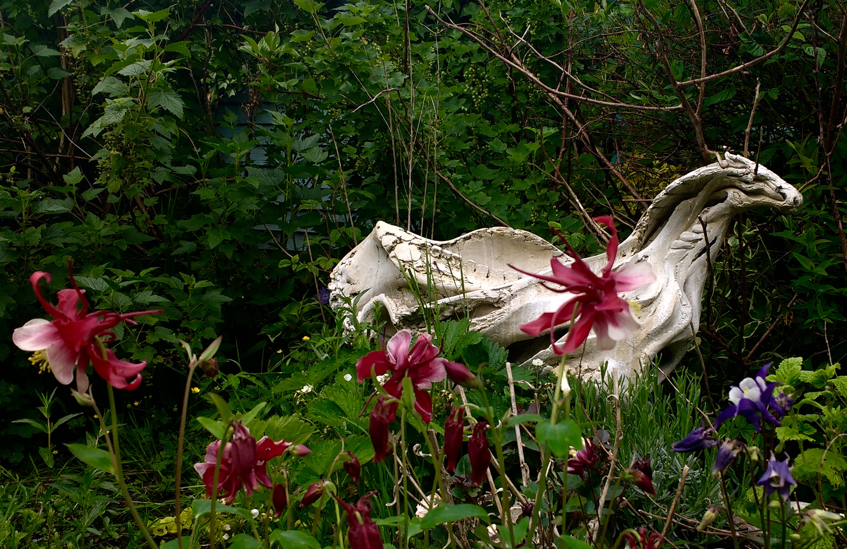 IMG_20180526_130818064