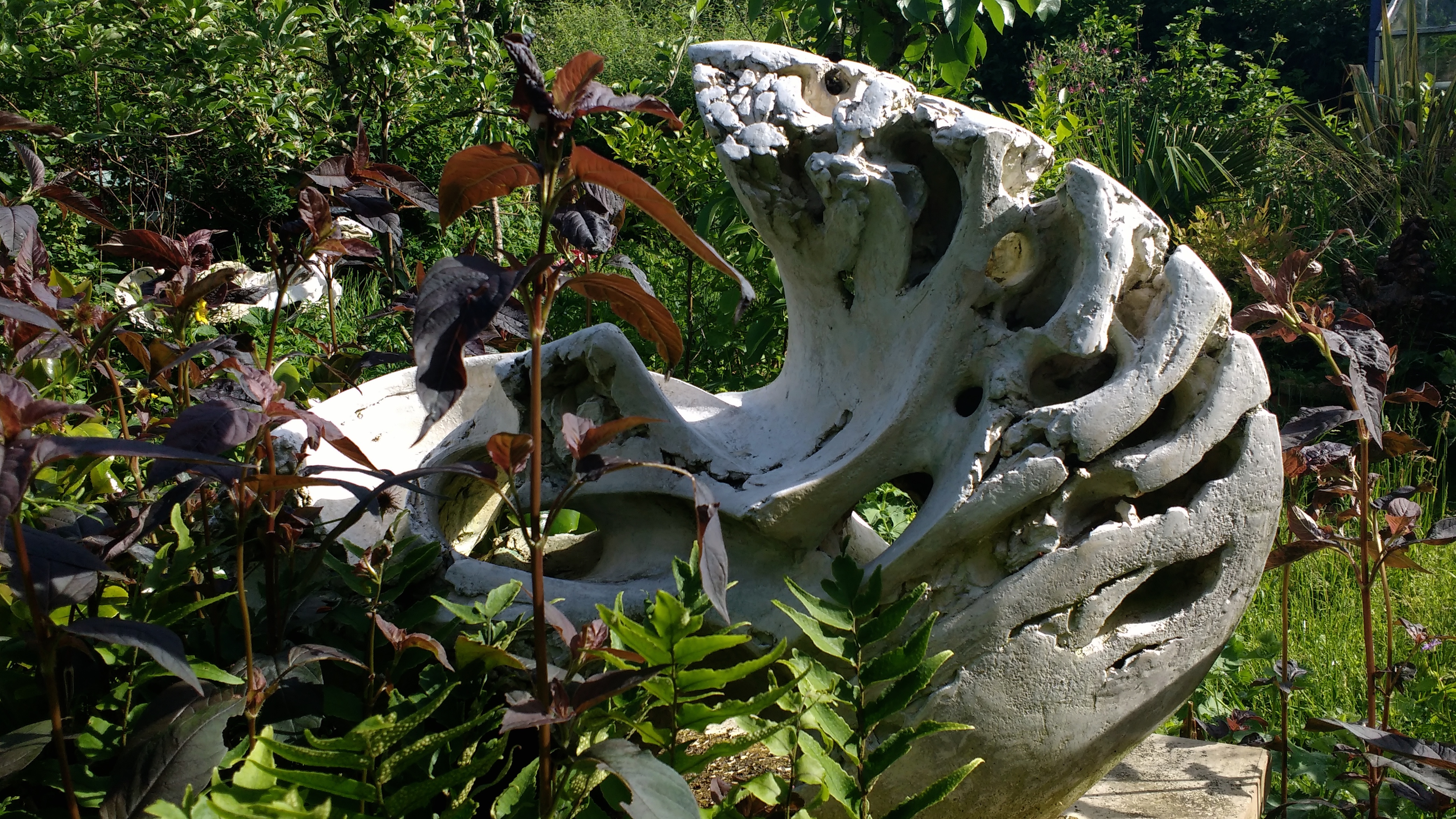 IMG_20180603_090657302