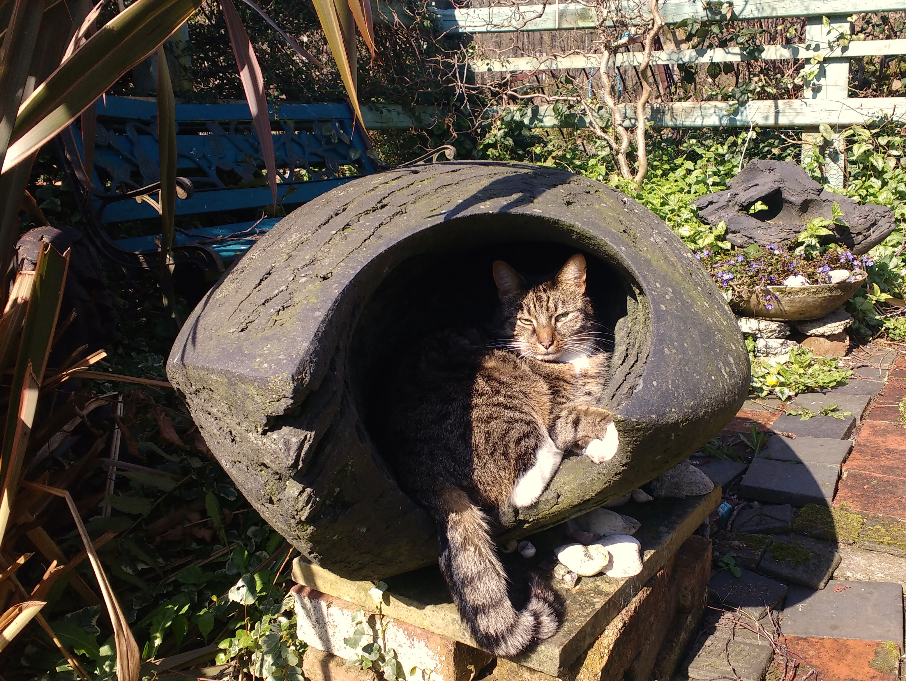 IMG_20190328_105048782