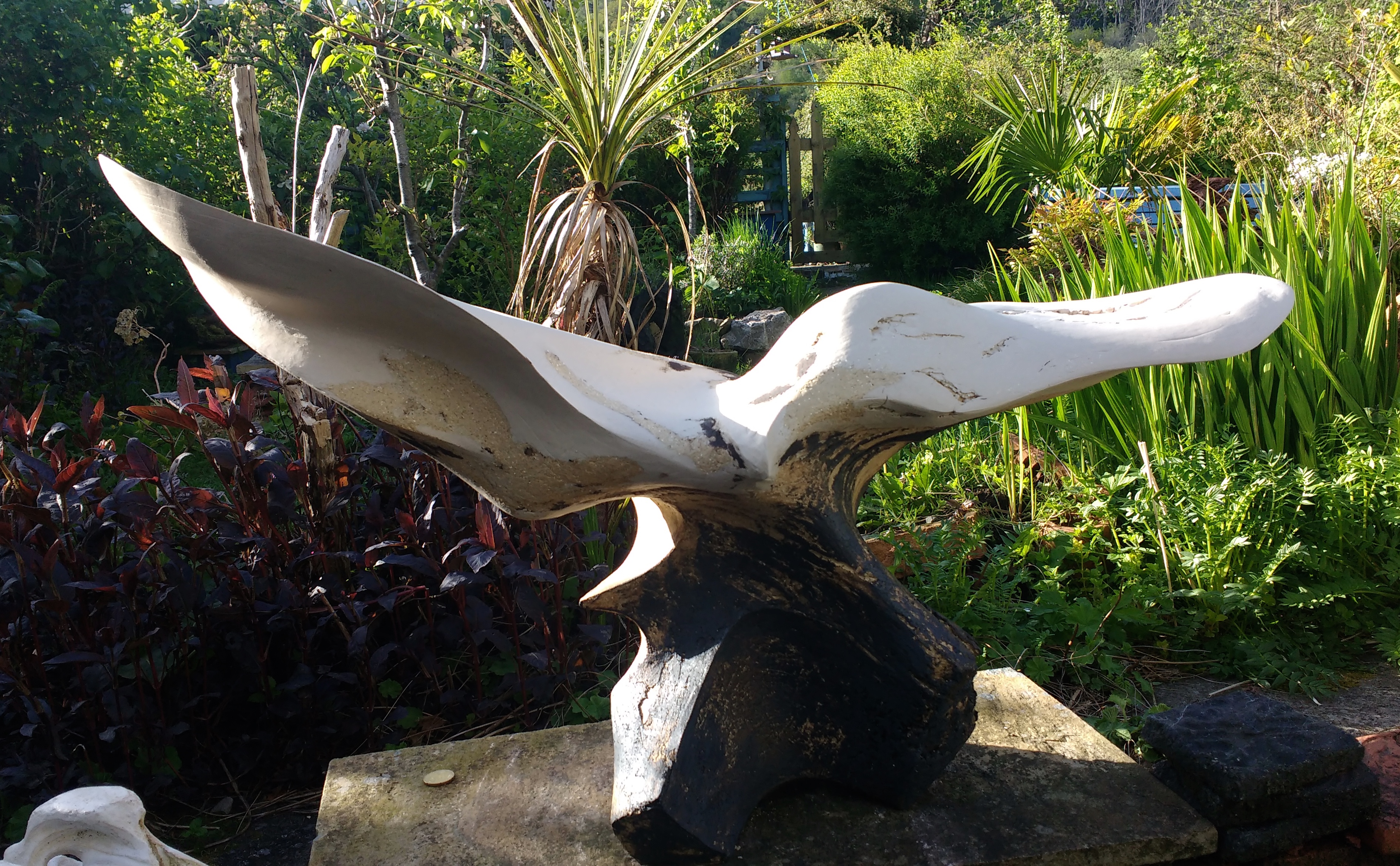 IMG_20190504_180102126