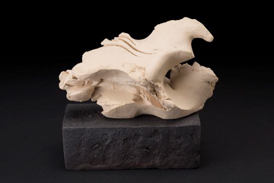 11066531_10207300632536973_4455478861361309613_o