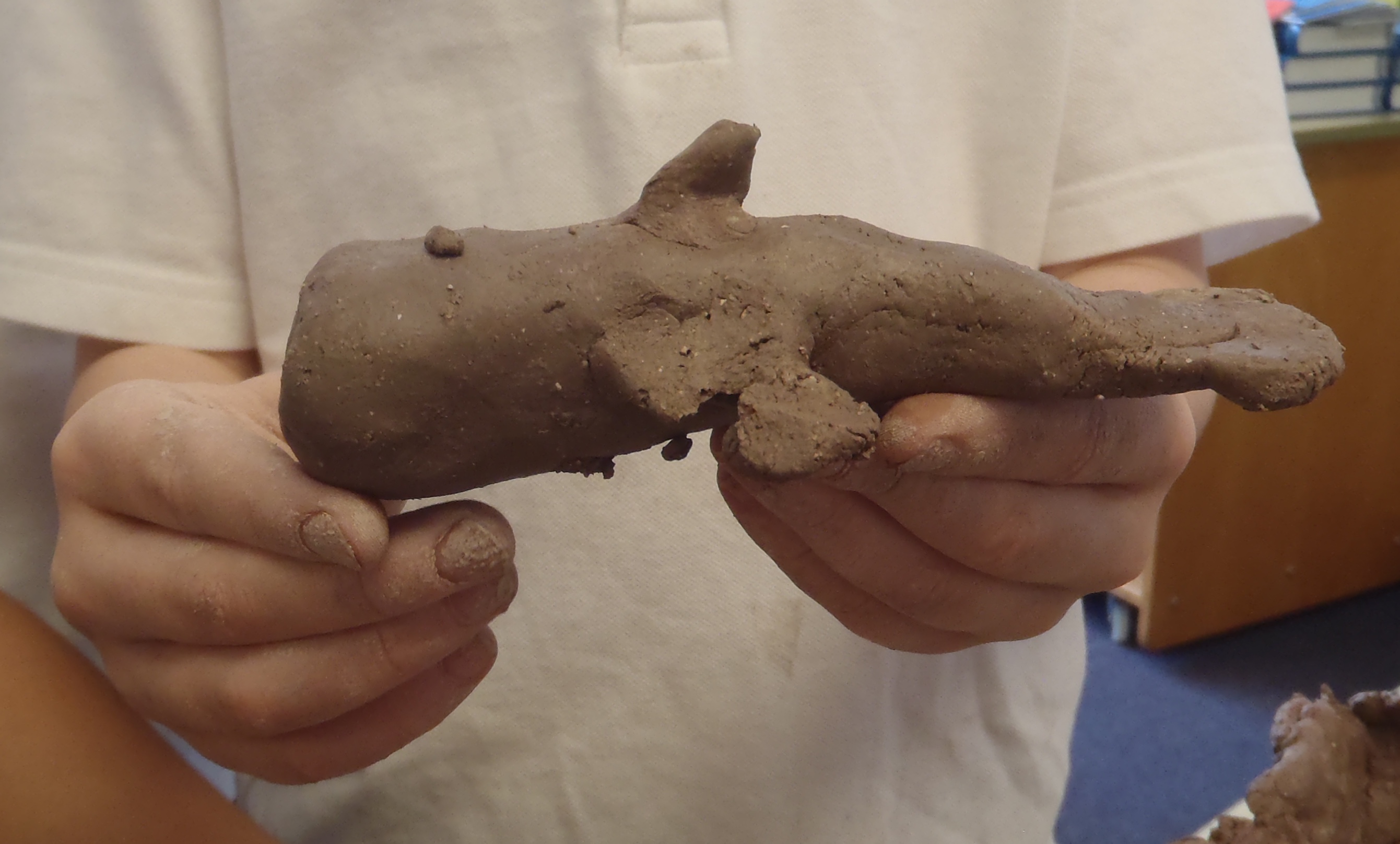 The natural world gives us shelter, calm and peacefulness. 