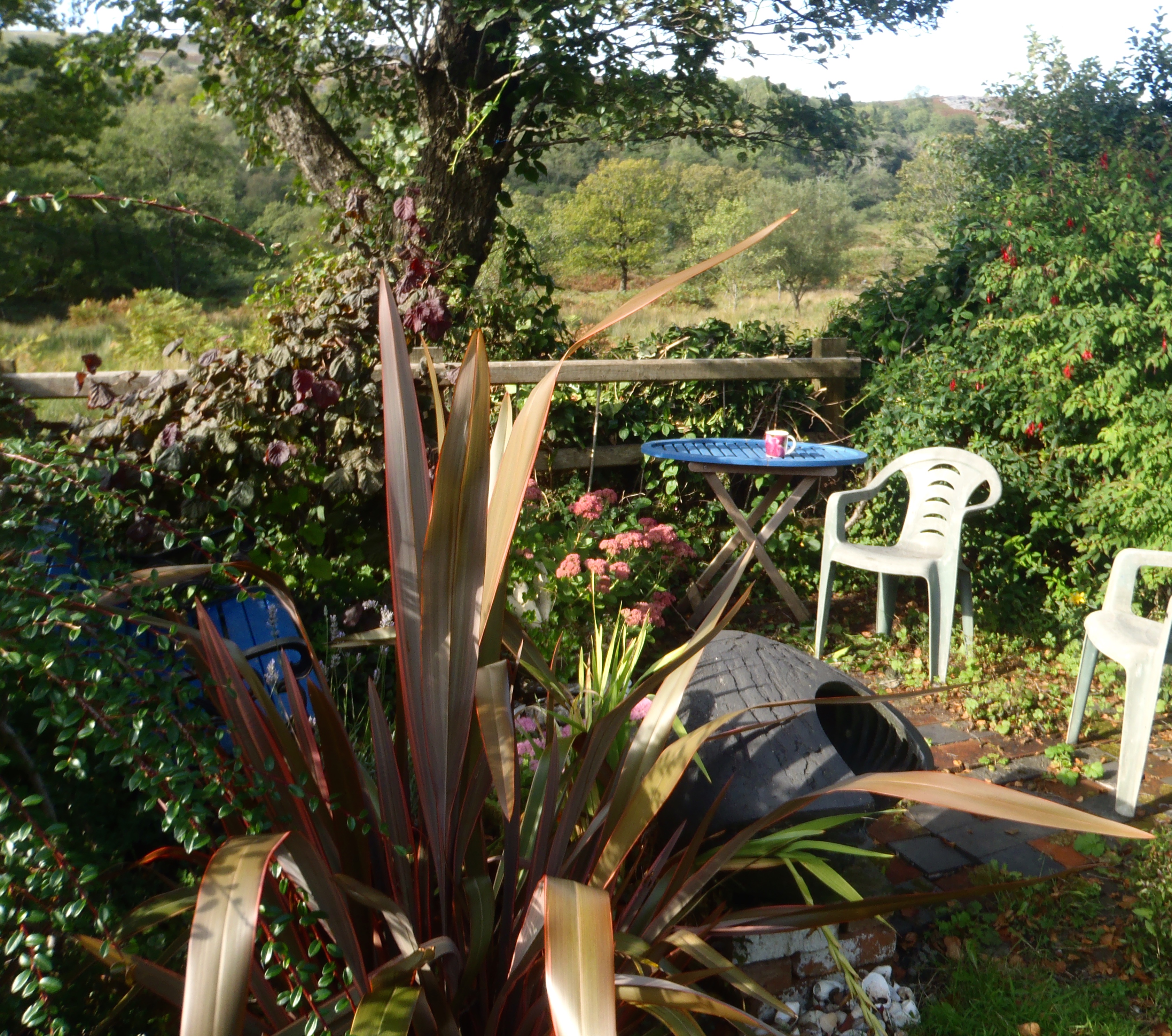 Rebecca Buck, Osprey Studios