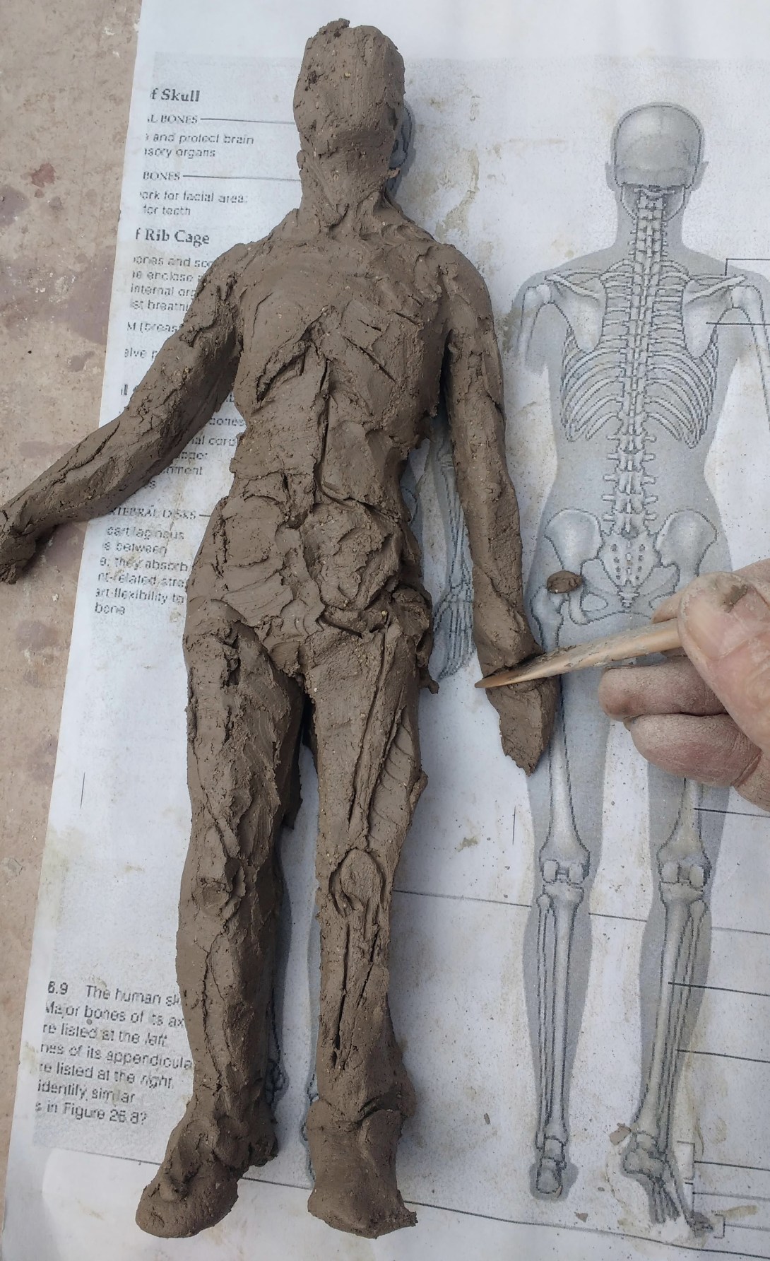 Making Photo Figures Making Small Figures | Rebecca Buck